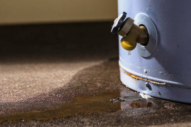 Best Residential water damage restoration  in Lantana, TX