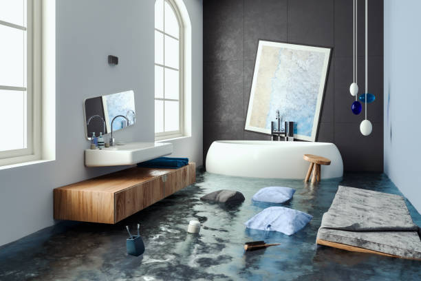 Best Water damage restoration near me  in Lantana, TX