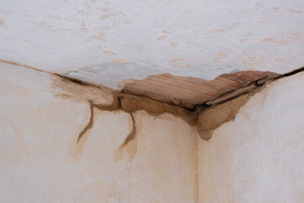 Best Commercial water damage restoration  in Lantana, TX