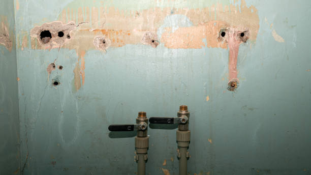 Best Carpet water damage restoration  in Lantana, TX