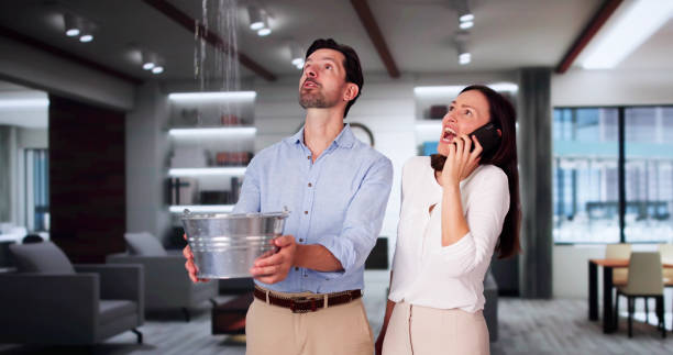 Best Ceiling water damage repair  in Lantana, TX